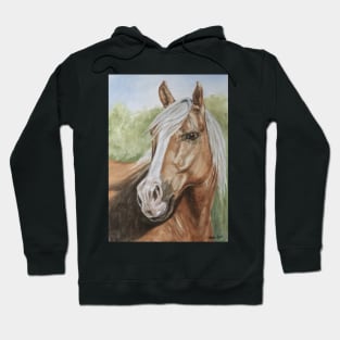 Chestnut and White Horse Hoodie